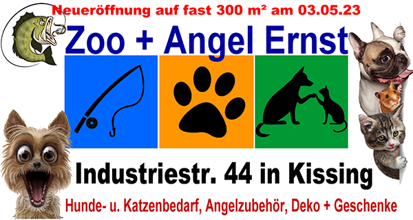 Zoo + Angel Ernst